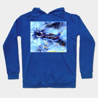 Fish Hoodie